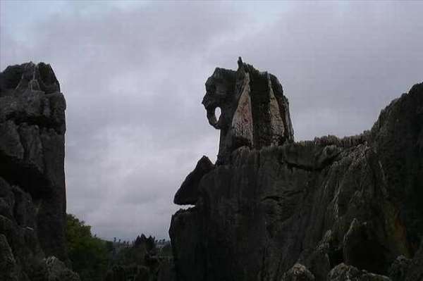 Shangrala's Shilin Stone Forest