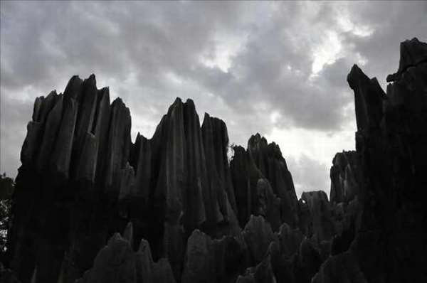 Shangrala's Shilin Stone Forest