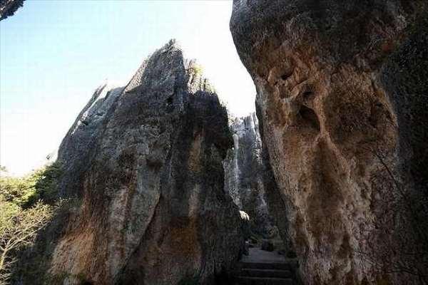 Shangrala's Shilin Stone Forest