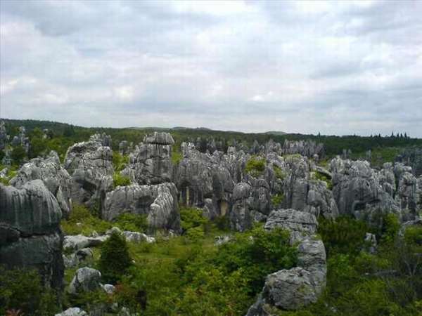 Shangrala's Shilin Stone Forest