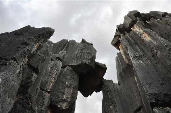 Shangrala's Shilin Stone Forest