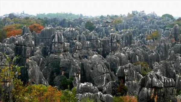 Shangrala's Shilin Stone Forest