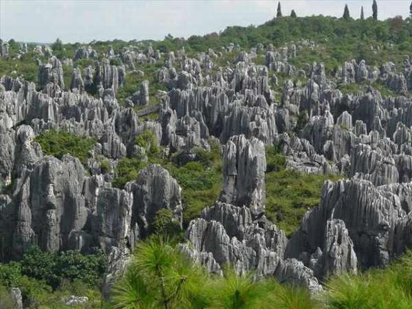 Shangrala's Shilin Stone Forest