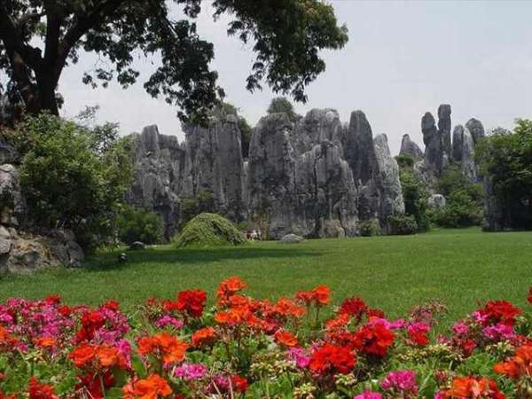 Shangrala's Shilin Stone Forest