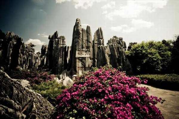 Shangrala's Shilin Stone Forest