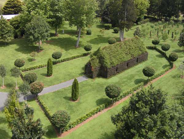 Shangrala's Living Tree Church