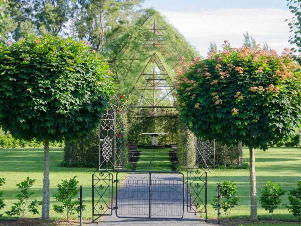 Shangrala's Living Tree Church