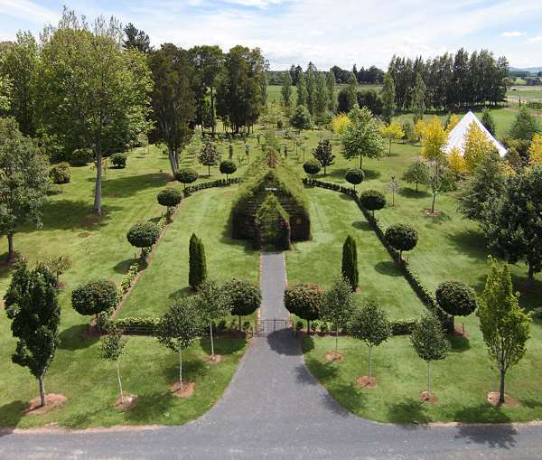 Shangrala's Living Tree Church