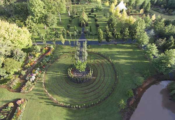 Shangrala's Living Tree Church