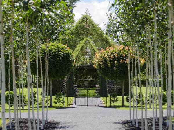 Shangrala's Living Tree Church