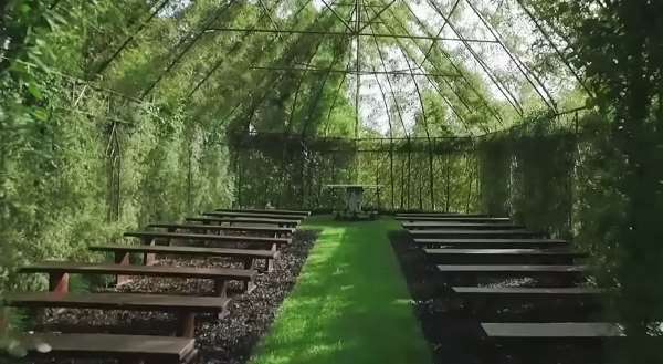 Shangrala's Living Tree Church