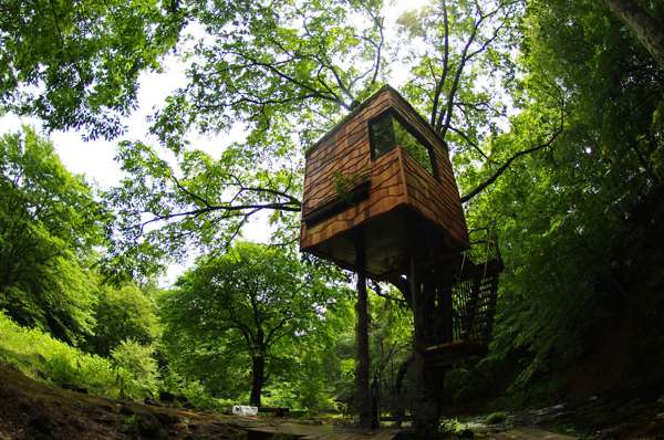 Shangrala's World's Best Treehouses