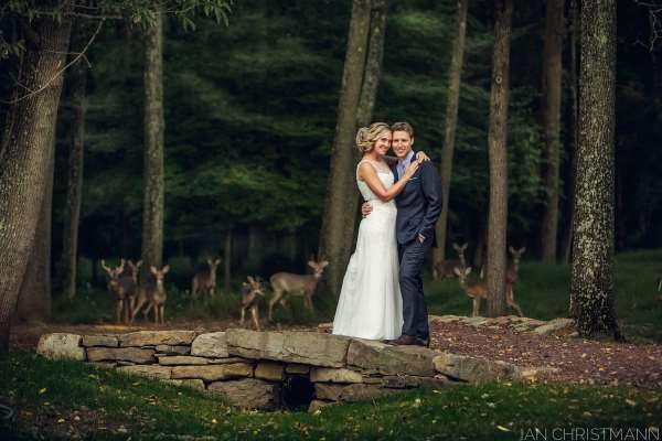 Shangrala's Uninvited Wedding Guests