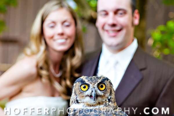 Shangrala's Uninvited Wedding Guests