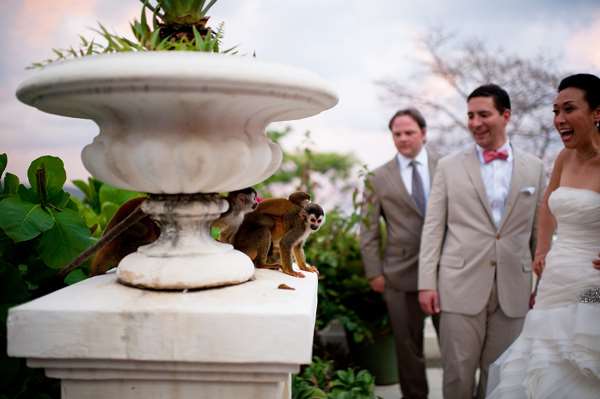 Shangrala's Uninvited Wedding Guests