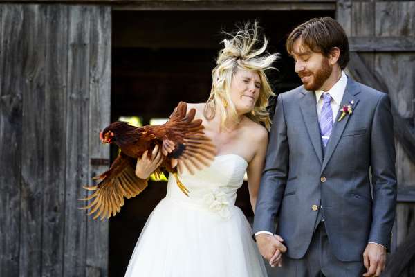 Shangrala's Uninvited Wedding Guests