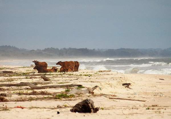 Shangrala's World's Most Unique Beaches 2