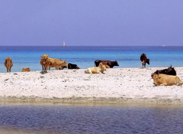 Shangrala's World's Most Unique Beaches