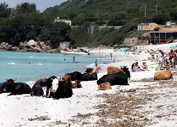 Shangrala's World's Most Unique Beaches