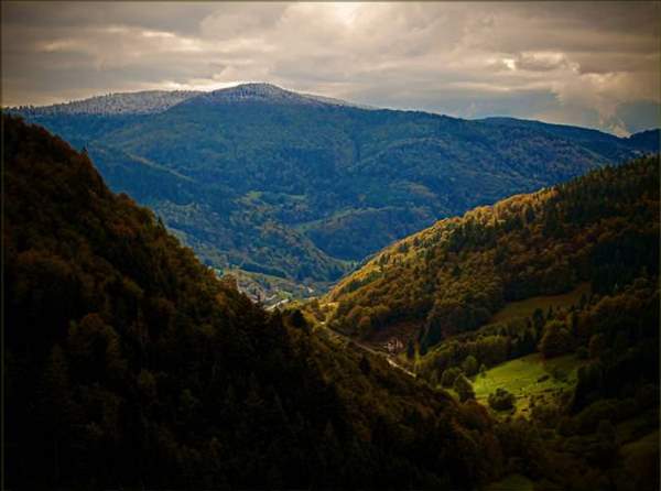 Shangrala's Mysterious Black Forest