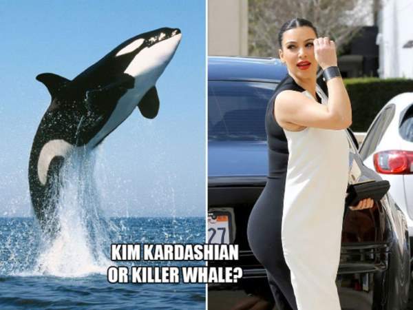 Celebrities: Who Wore It Better?