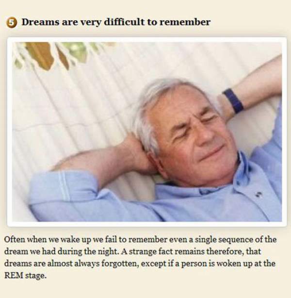 Shangrala's Amazing Dream Facts