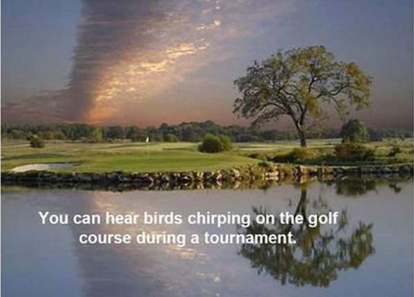 Why Golf Is Better