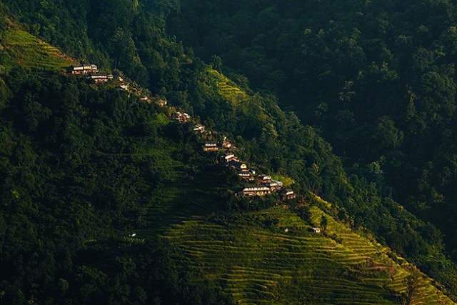 Shangrala's Honey Hunters Of Nepal