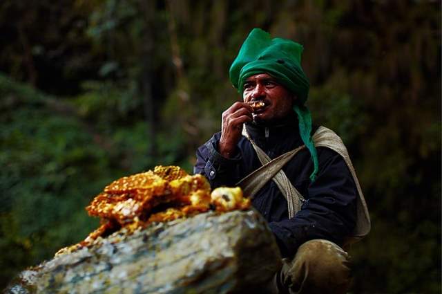 Shangrala's Honey Hunters Of Nepal