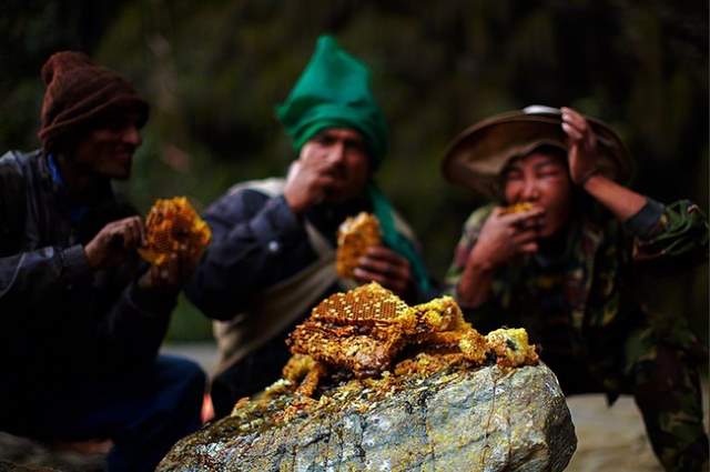 Shangrala's Honey Hunters Of Nepal