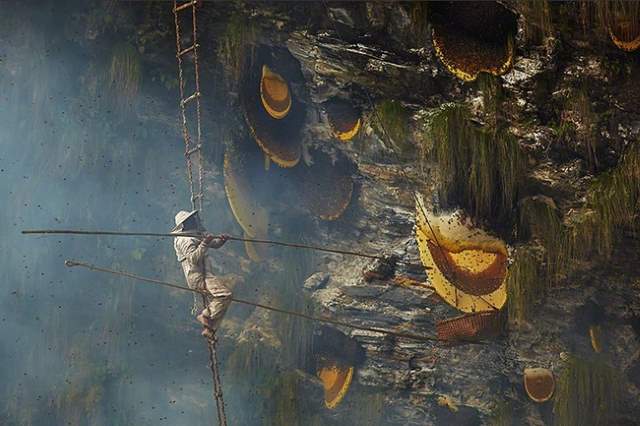 Shangrala's Honey Hunters Of Nepal