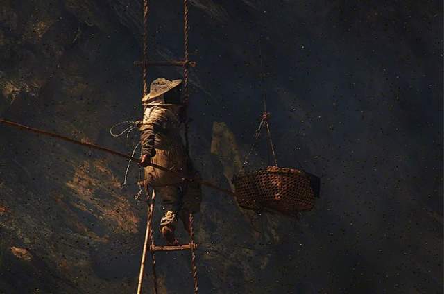 Shangrala's Honey Hunters Of Nepal