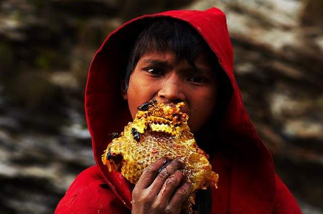 Shangrala's Honey Hunters Of Nepal