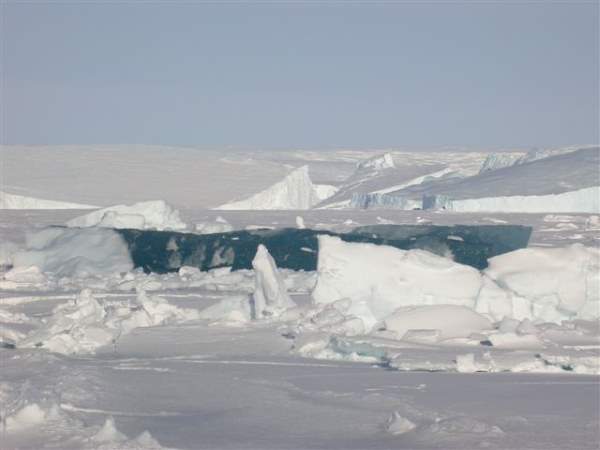 Shangrala's Amazing Striped Icebergs