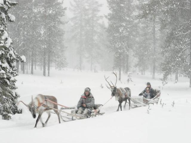 Shangrala's Santa Land Up North