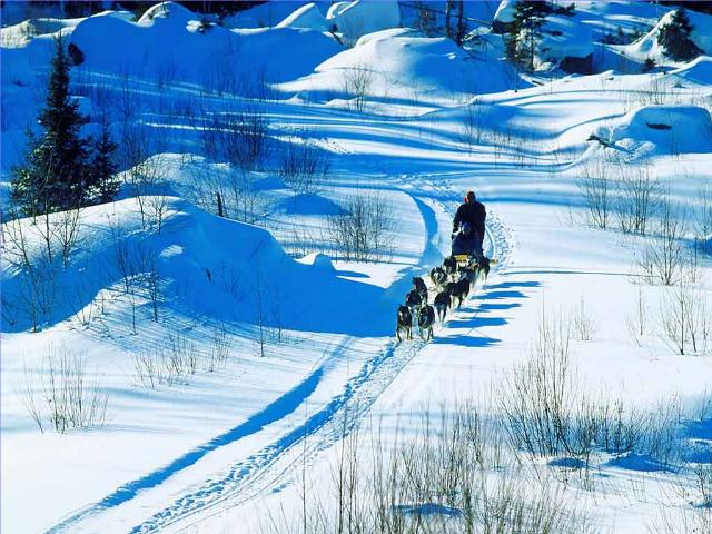 Shangrala's Santa Land Up North