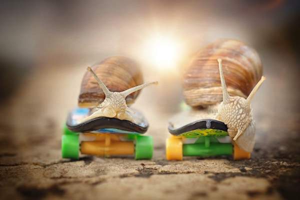 Shangrala's Magical Tiny Snails 2