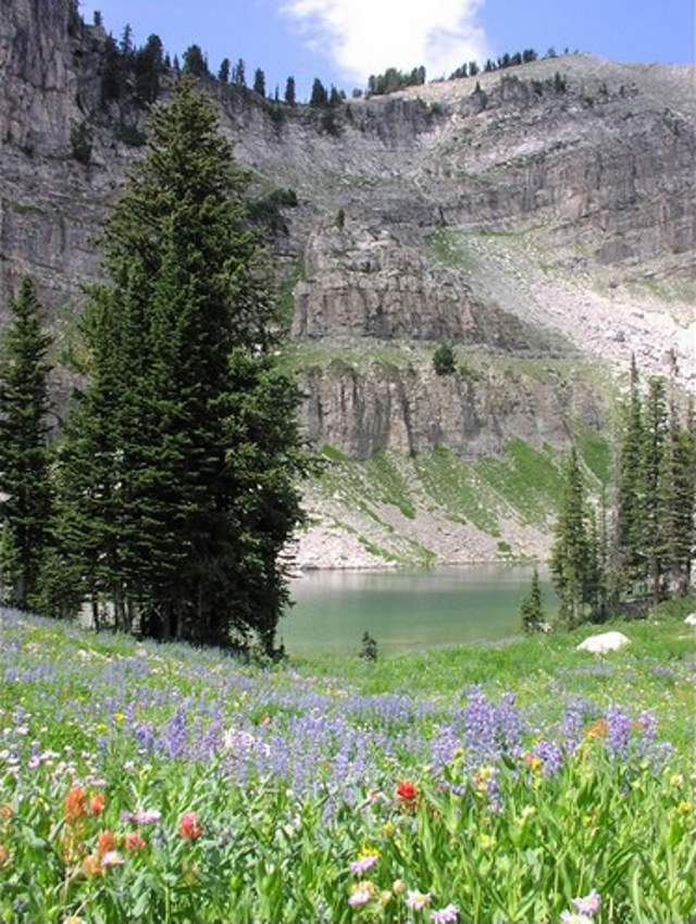 Shangrala's Grand Teton National Park