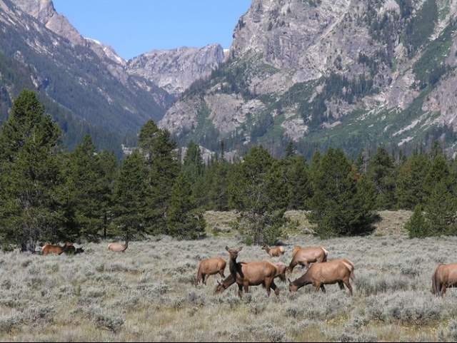 Shangrala's Grand Teton National Park