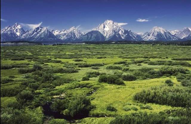 Shangrala's Grand Teton National Park