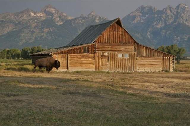 Shangrala's Grand Teton National Park