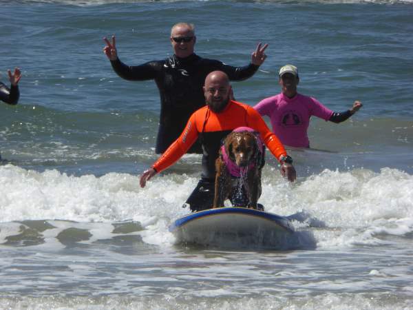 Shangrala's Water Rescue Dogs