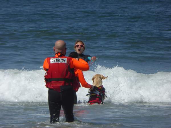 Shangrala's Water Rescue Dogs