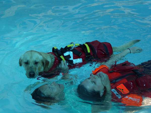 Shangrala's Water Rescue Dogs