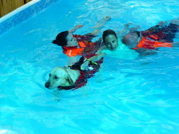 Shangrala's Water Rescue Dogs