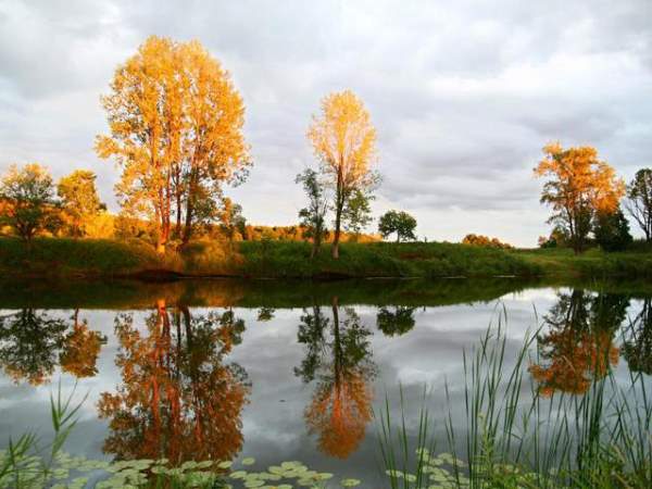 Shangrala's God's Water Paintings 3