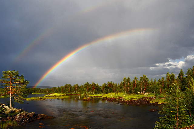 Shangrala's Beautiful Rainbows