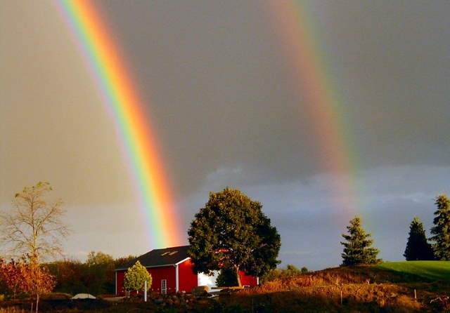 Shangrala's Beautiful Rainbows