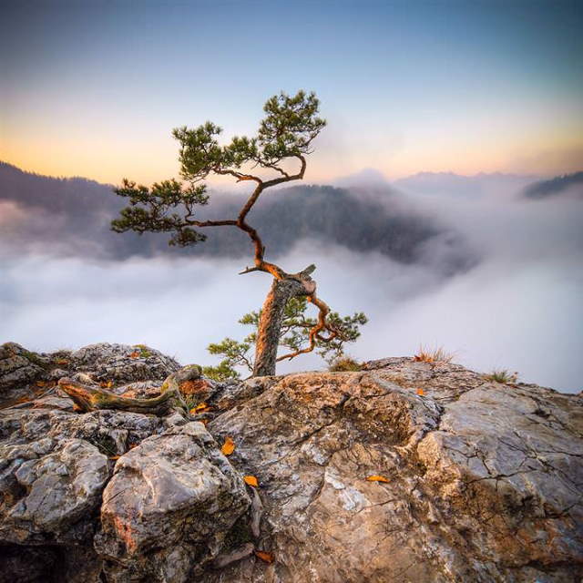 Shangrala's Tatra Mountains