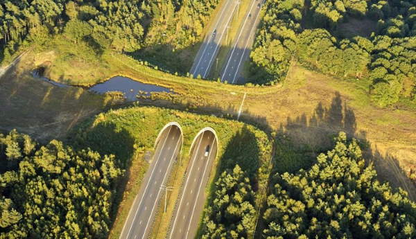 Shangrala's Beautiful Bridges 3